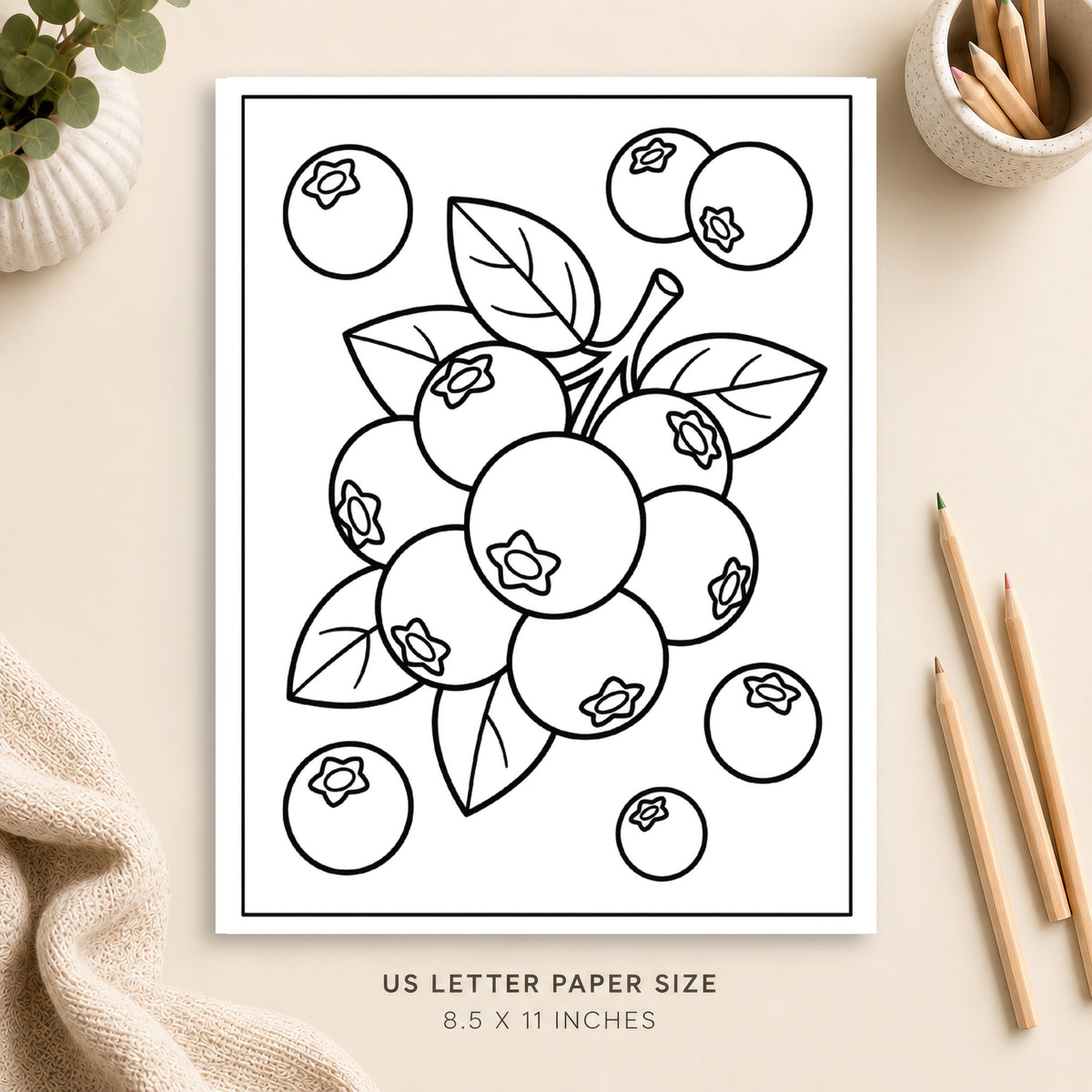 Blueberry Coloring Page 2