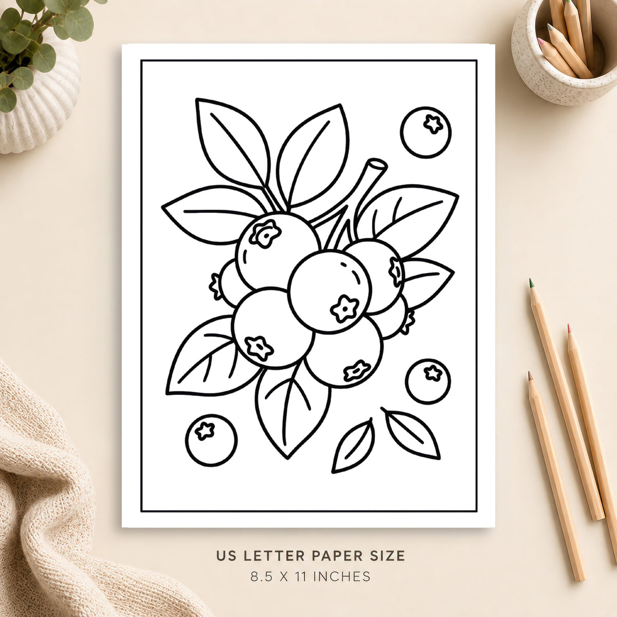 Blueberry Coloring Page 3