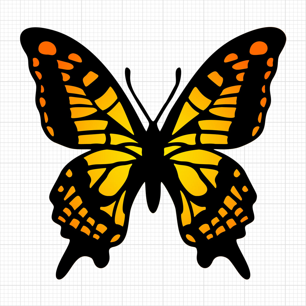 Butterfly 10