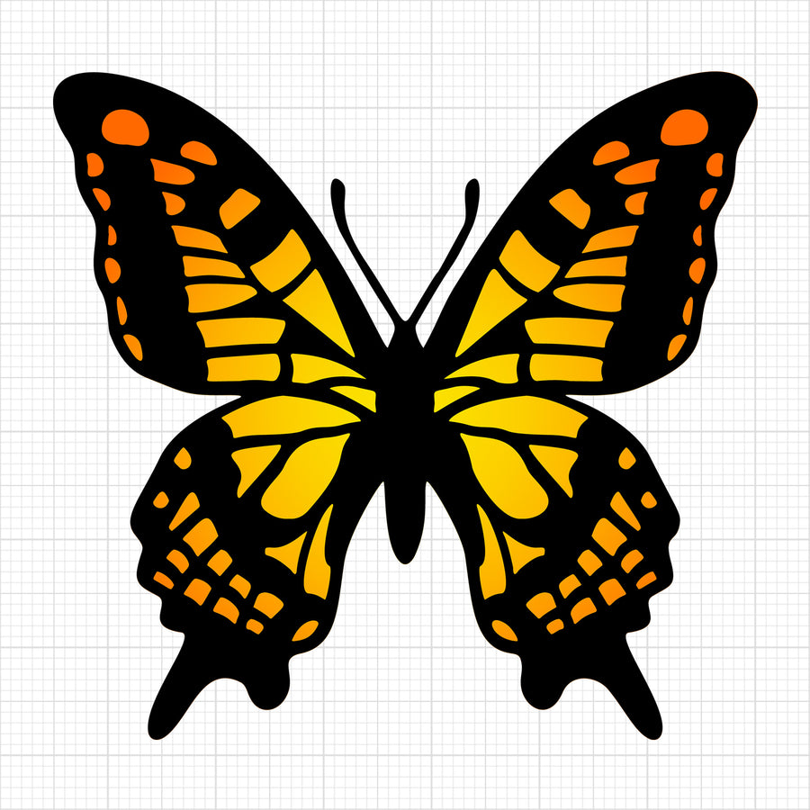 Butterfly 10