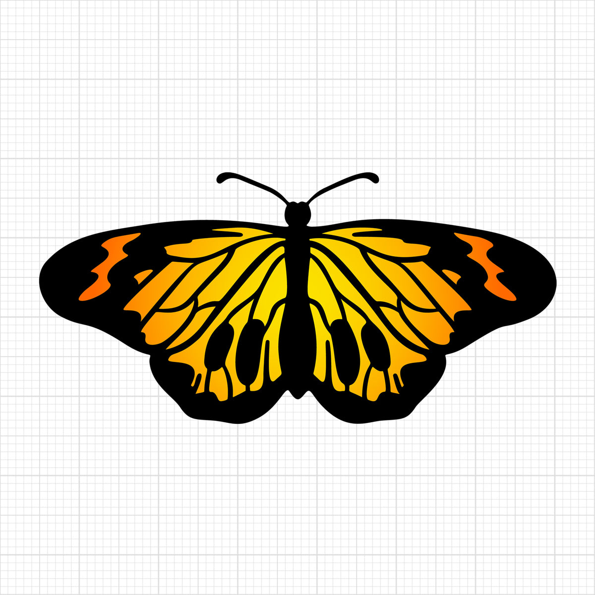 Butterfly 11