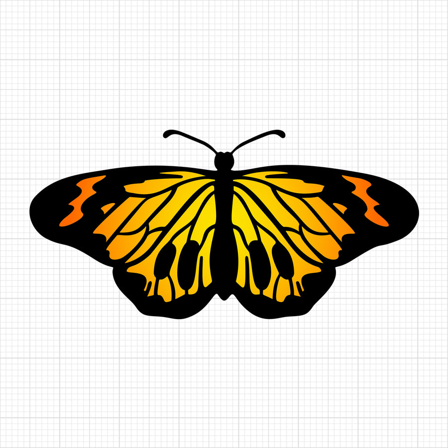 Butterfly 11