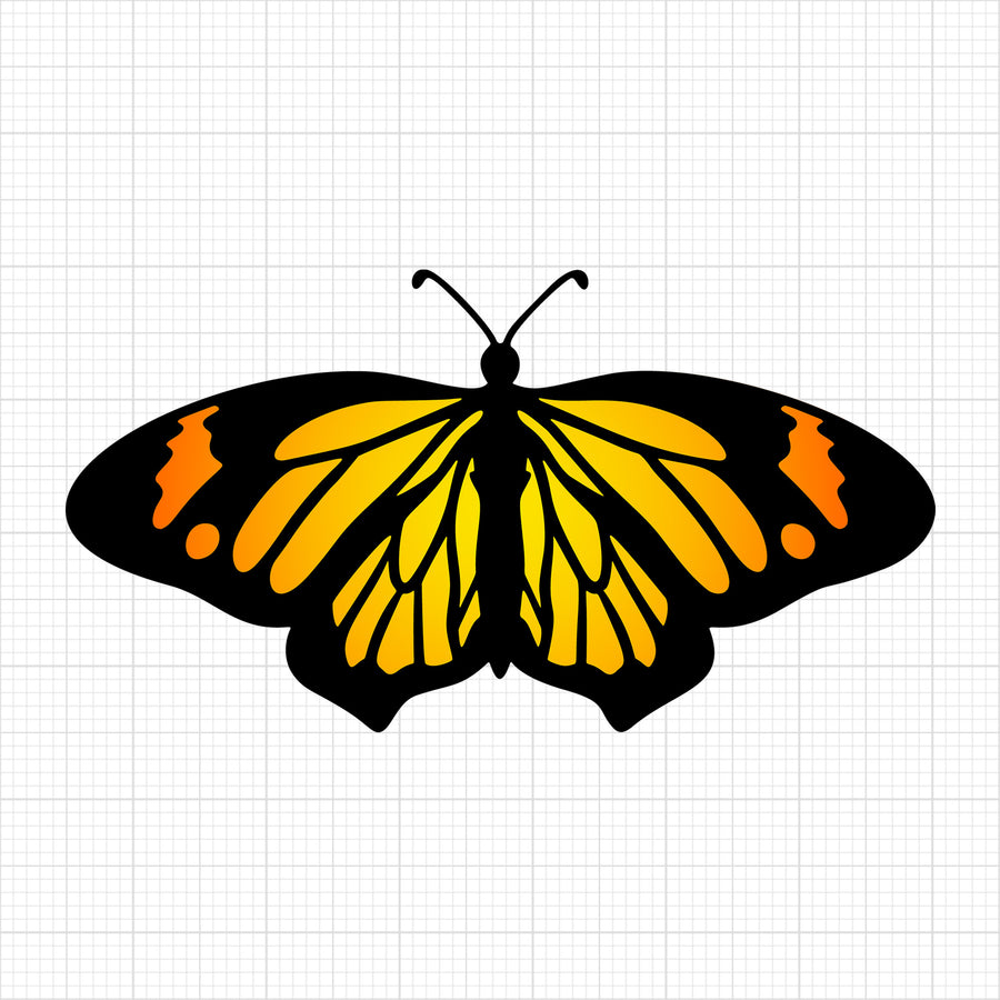 Butterfly 13