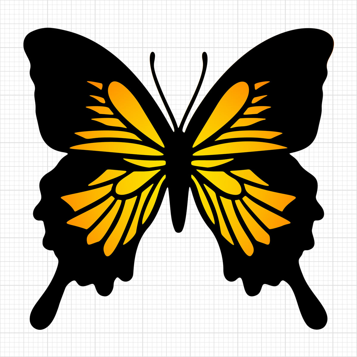 Butterfly 15