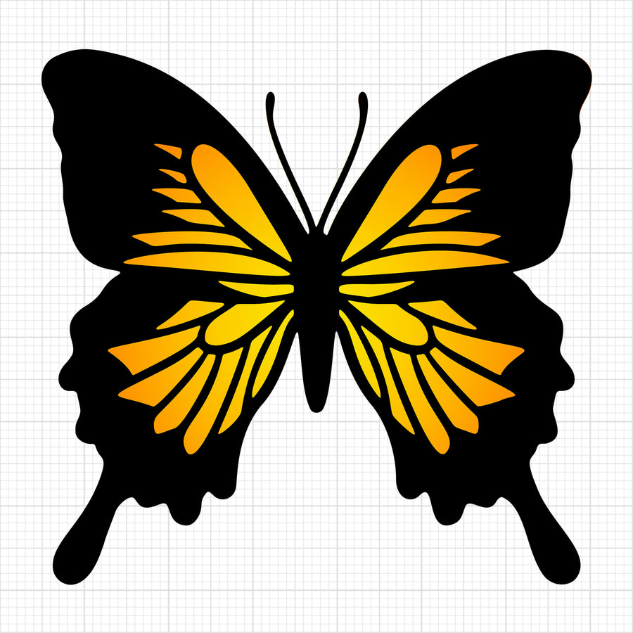 Butterfly 15