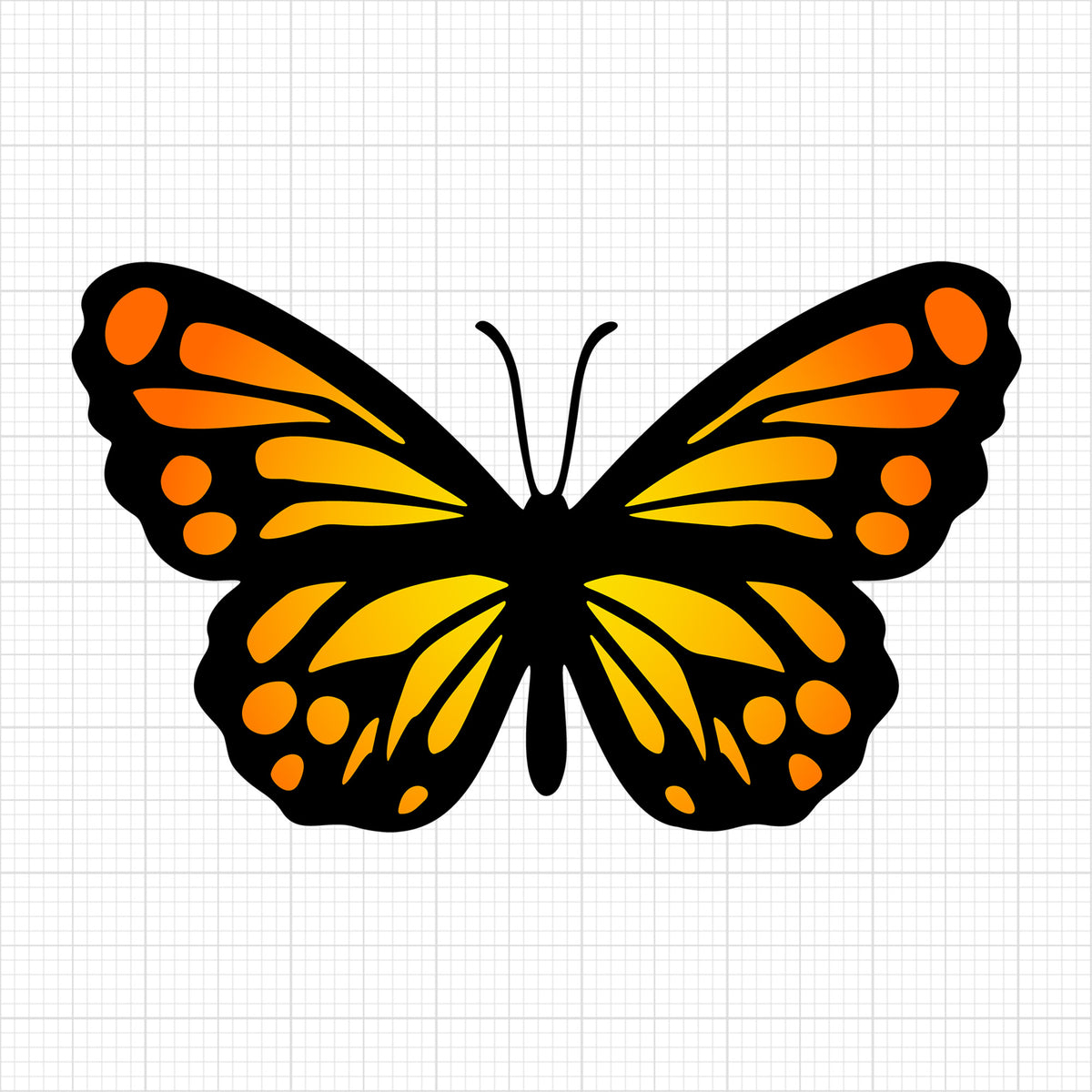 Butterfly 16
