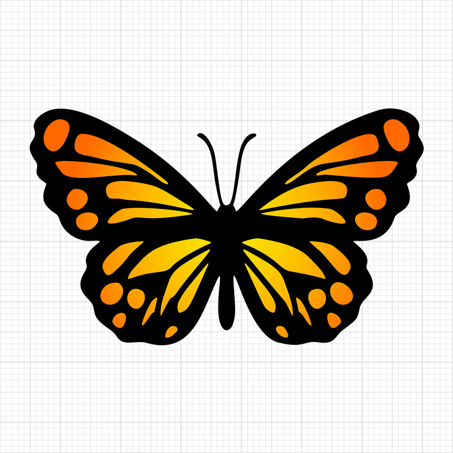 Butterfly 16