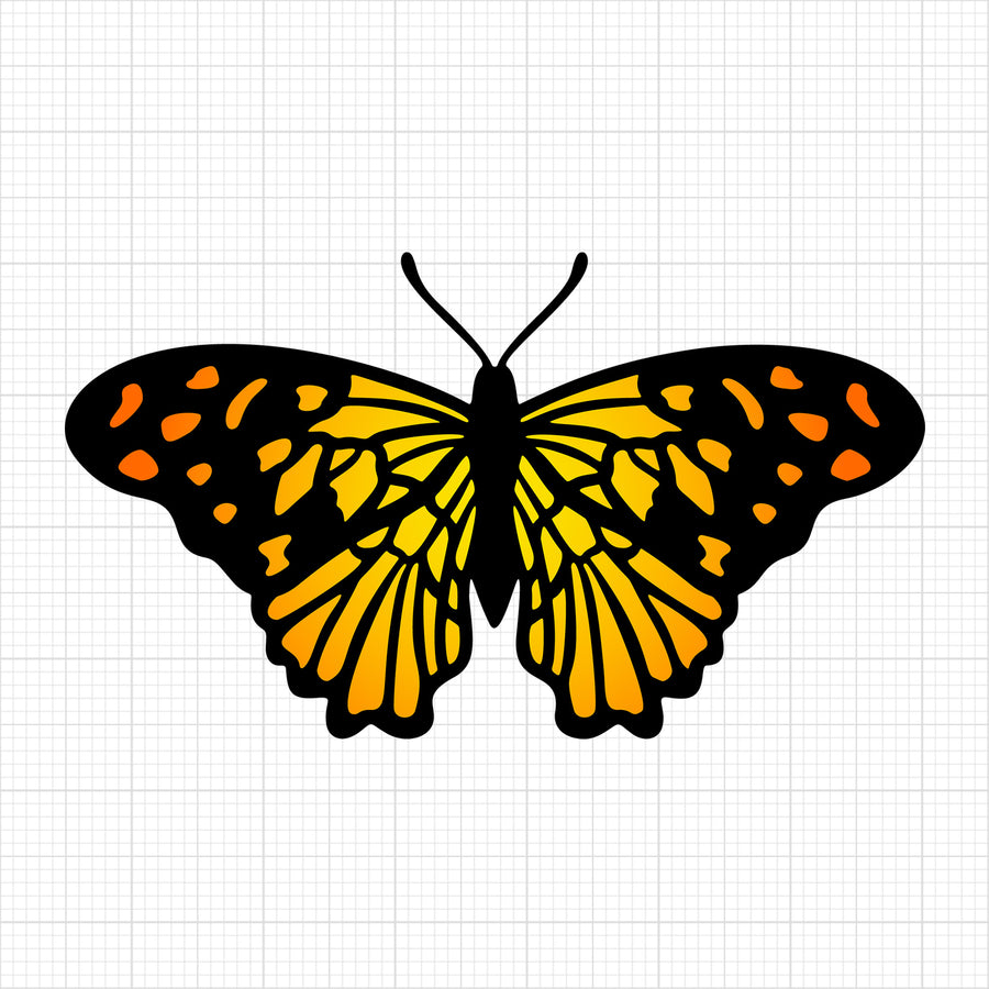 Butterfly 2
