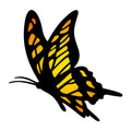 Butterfly SVG design for Cricut, Silhouette, laser cutting, vinyl, sublimation, and craft projects.