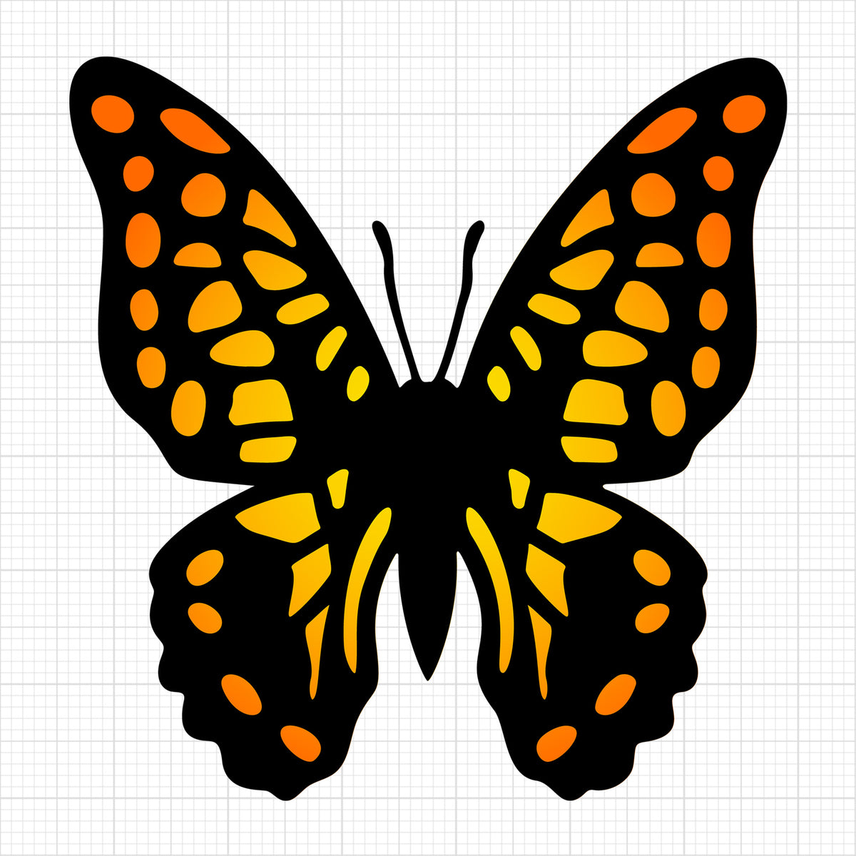 Butterfly 3