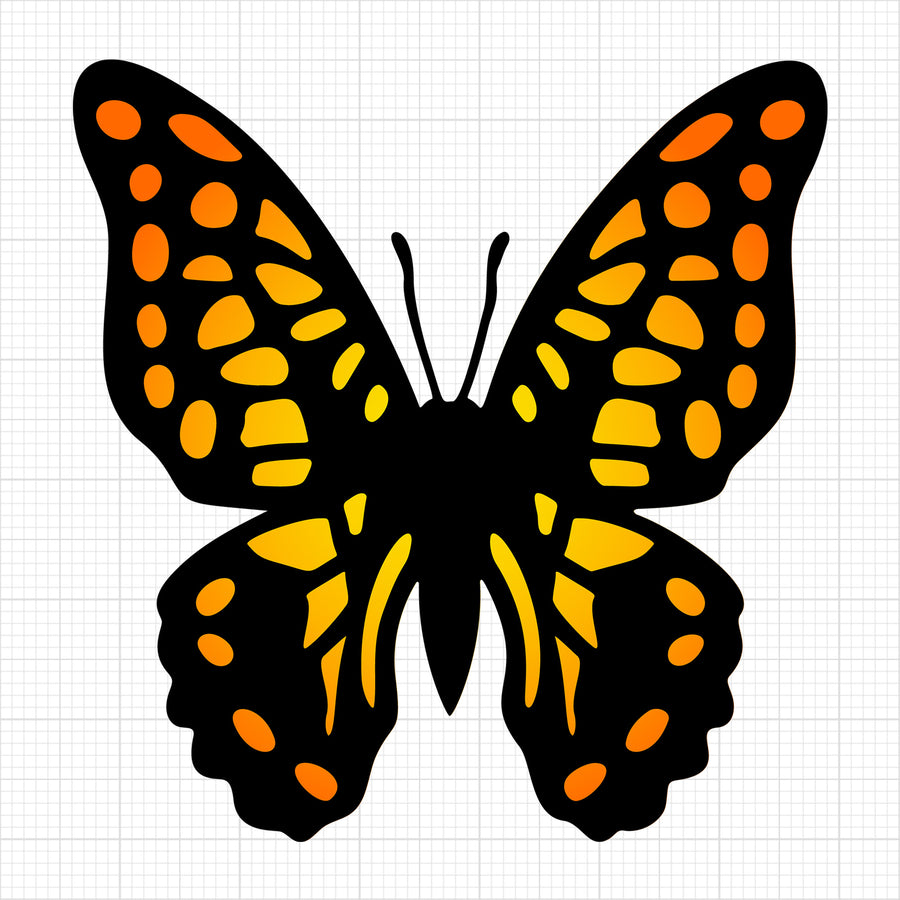 Butterfly 3