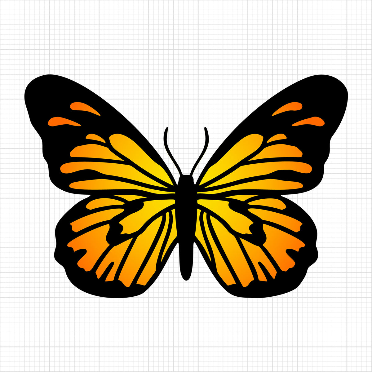Butterfly 4