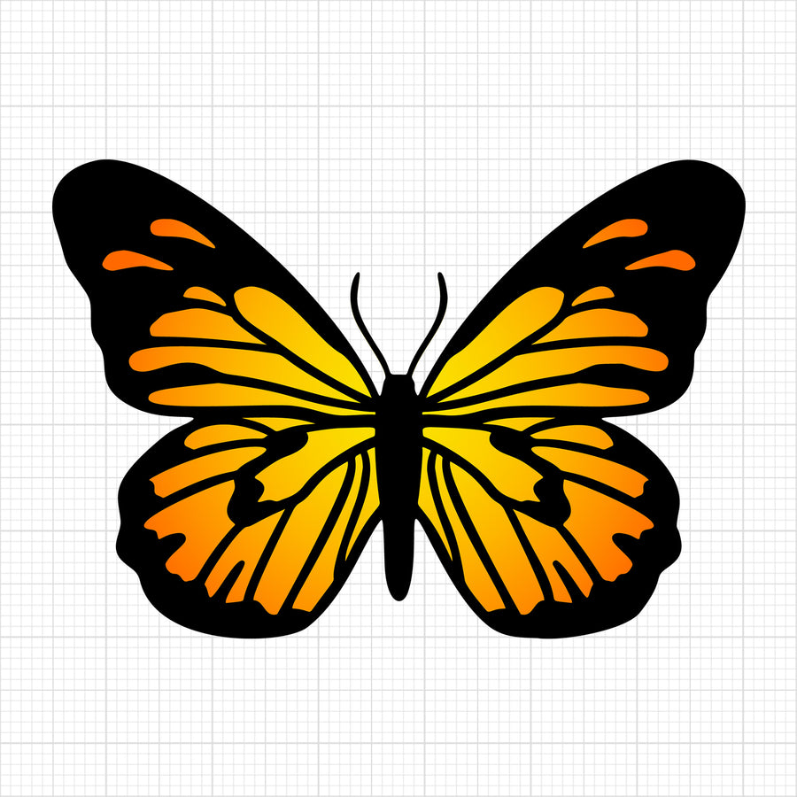 Butterfly 4