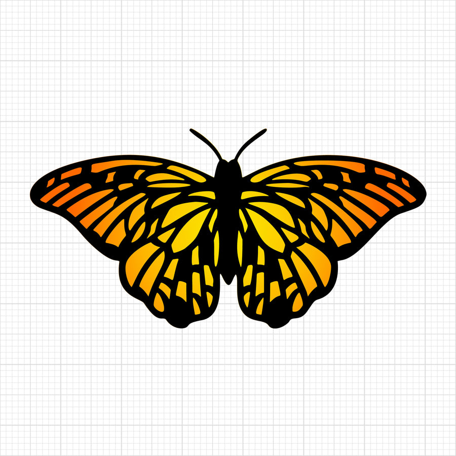 Butterfly 5