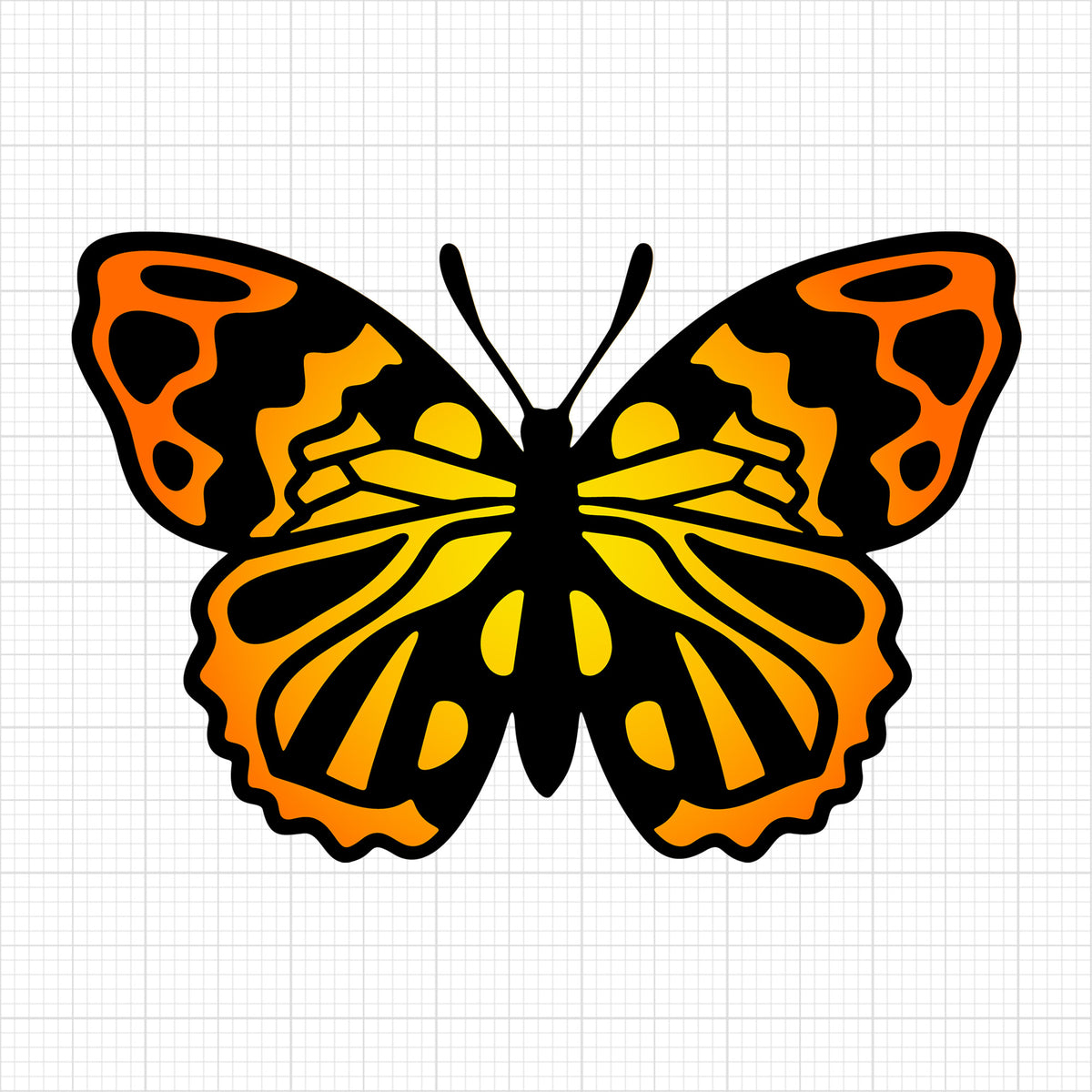 Butterfly 7