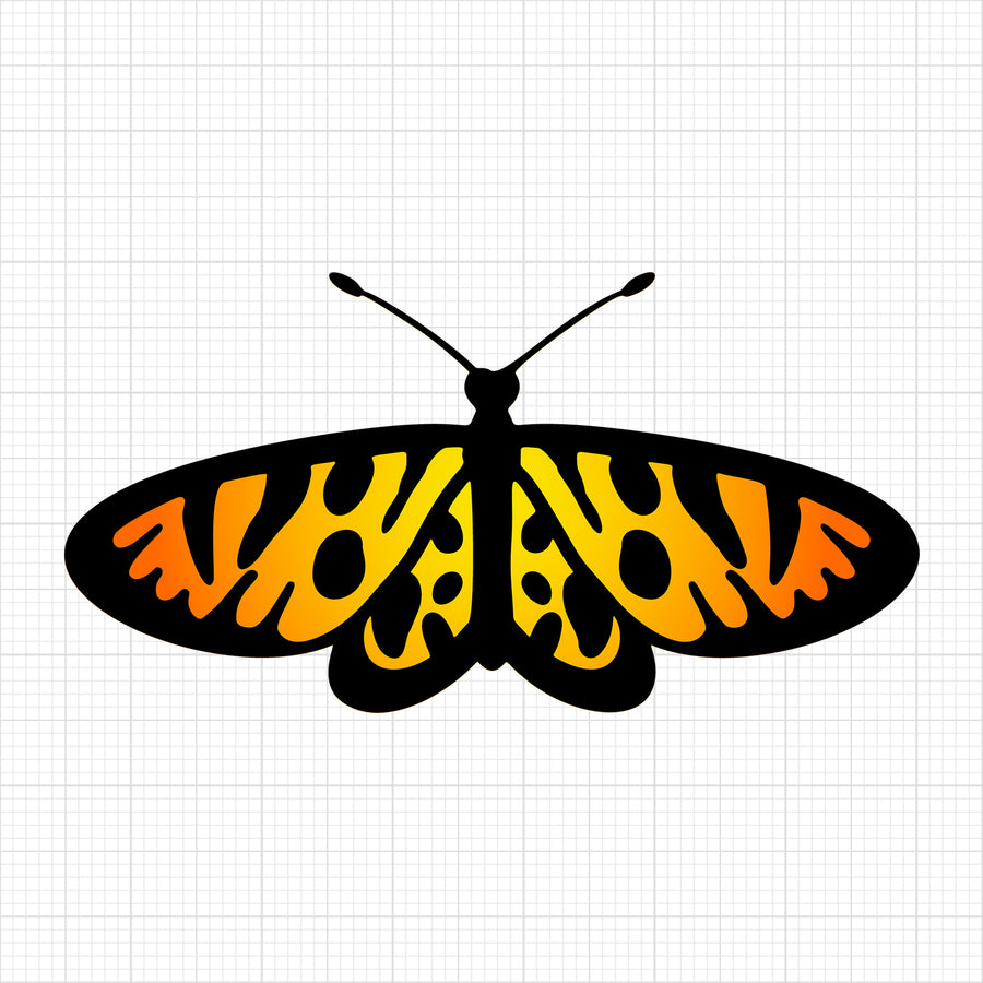 Butterfly 8