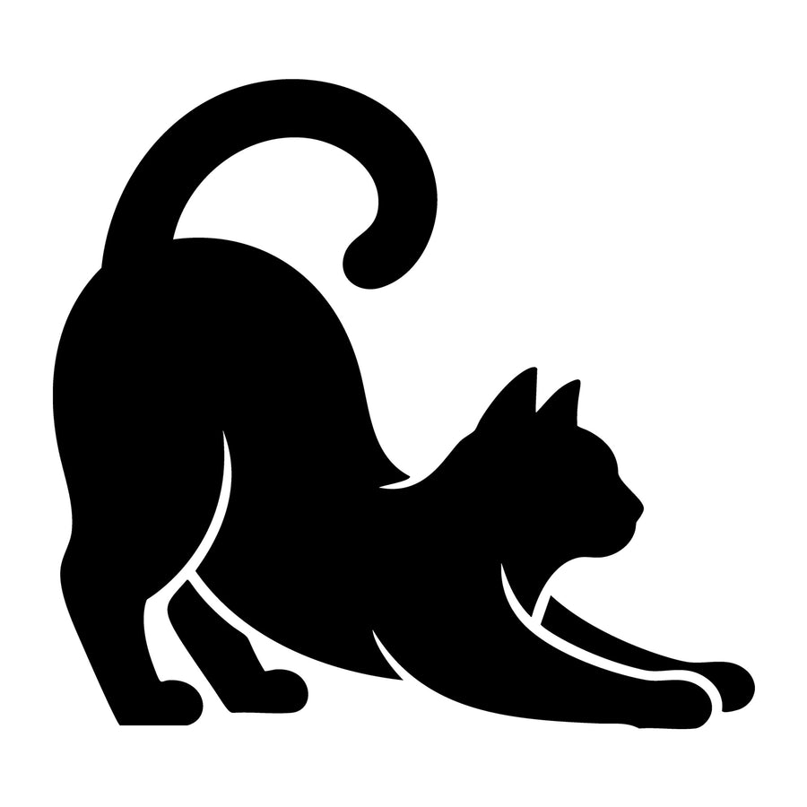 Cat SVG