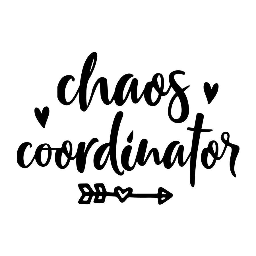 Chaos coordinator SVG