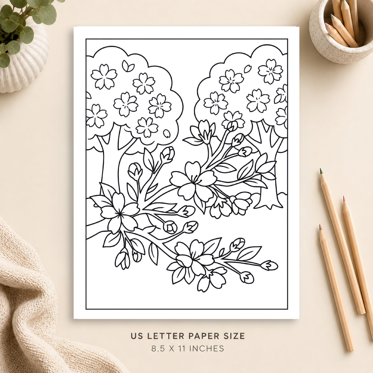 Cherry Blossoms Coloring Page 3