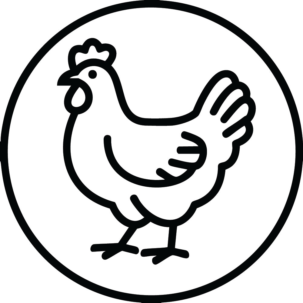 Chicken SVG File SVG DXF EPS PNG - Craft House SVG