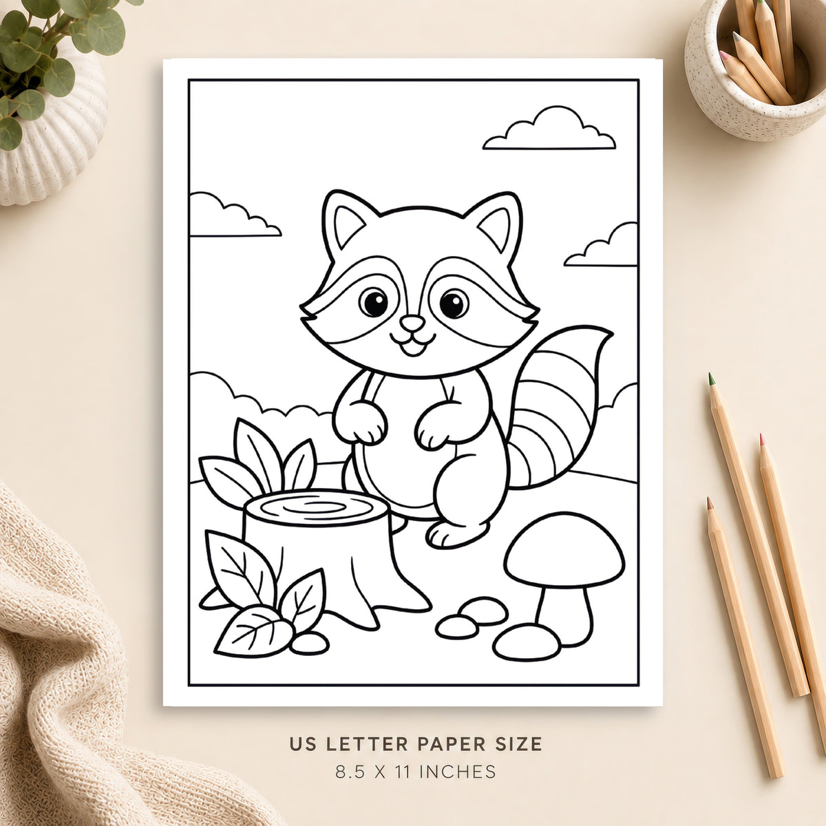 Cute Raccoon Coloring Page 2