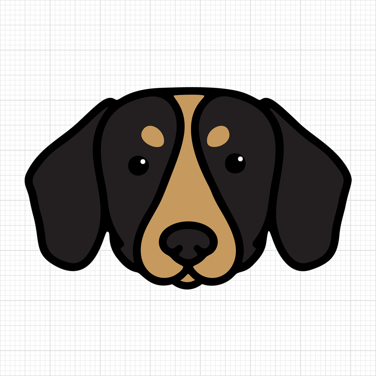 Dachshund