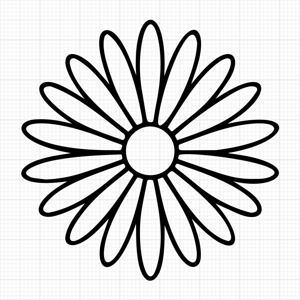 Daisy 13