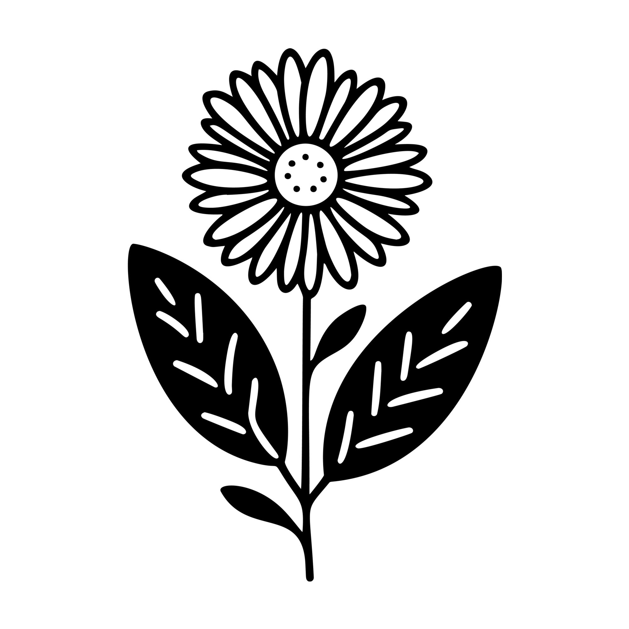 Daisy SVG design for Cricut, Silhouette, laser cutting, vinyl, sublimation, and craft projects.