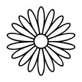 Daisy SVG design for Cricut, Silhouette, laser cutting, vinyl, sublimation, and craft projects.