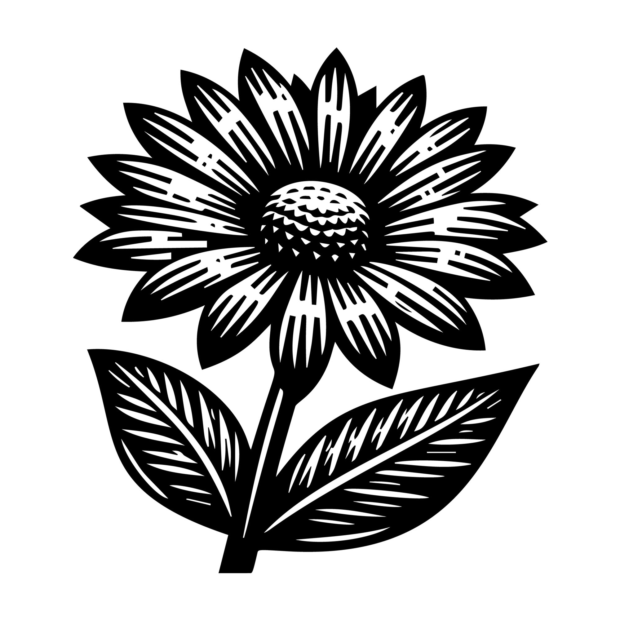Daisy SVG design for Cricut, Silhouette, laser cutting, vinyl, sublimation, and craft projects.