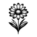 Daisy SVG design for Cricut, Silhouette, laser cutting, vinyl, sublimation, and craft projects.