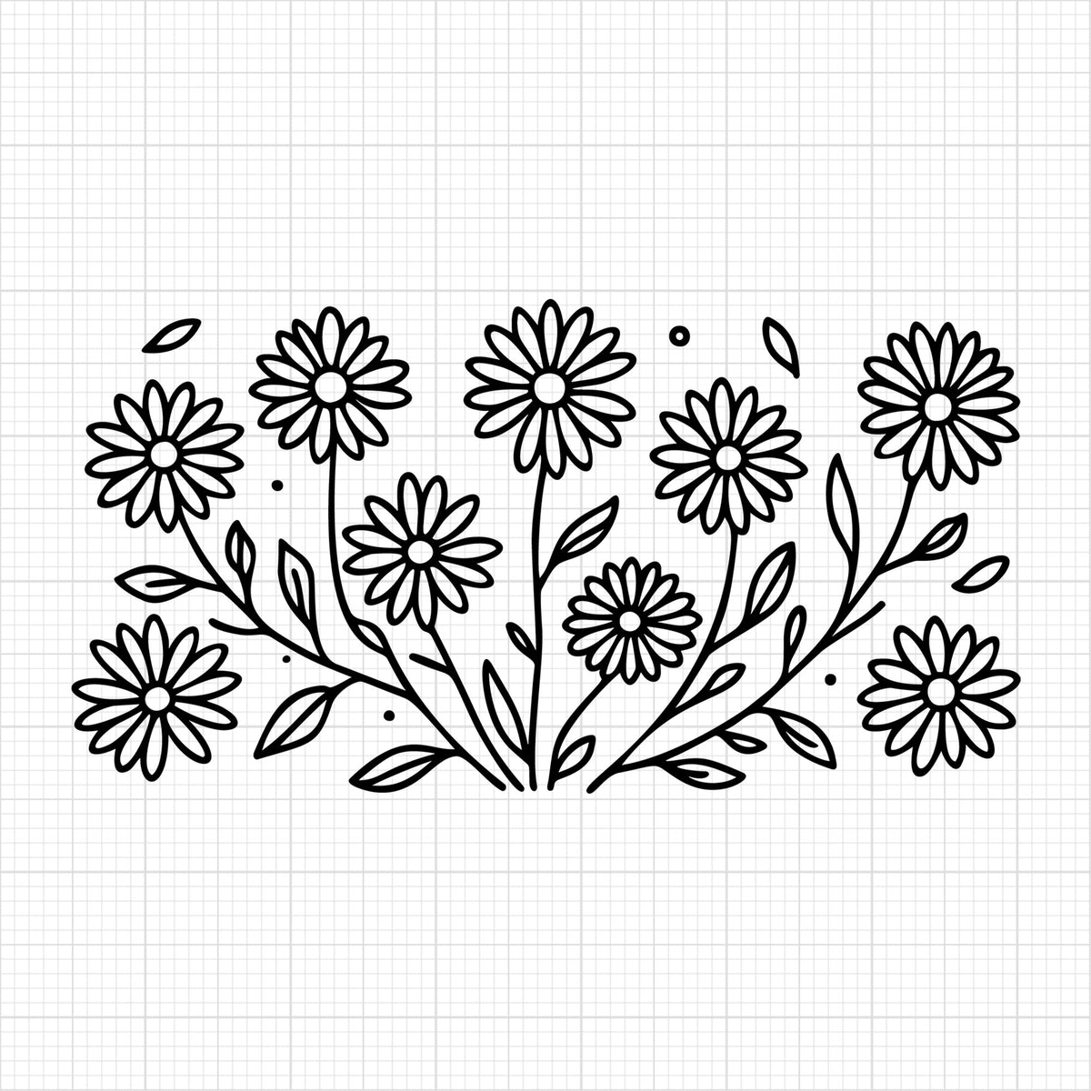 Daisy 24