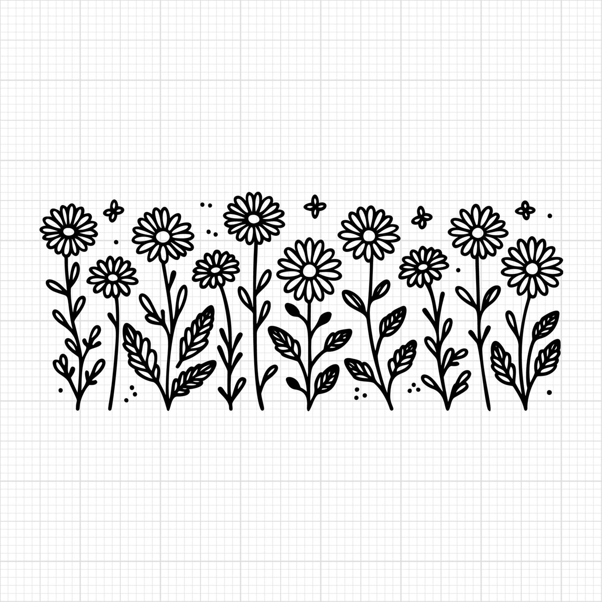 Daisy 25