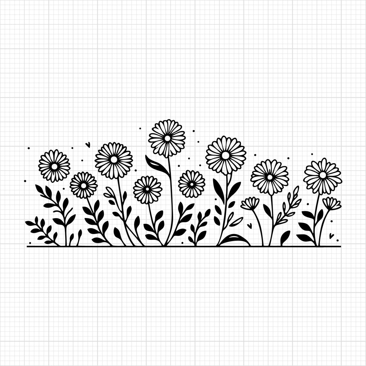 Daisy 29