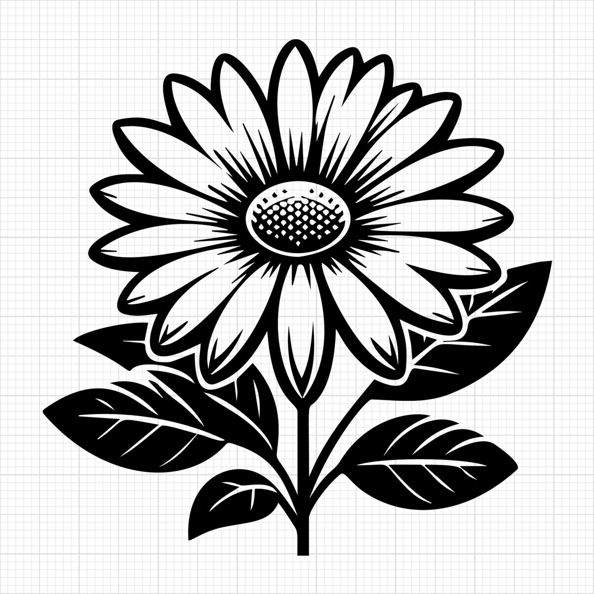 Daisy 3