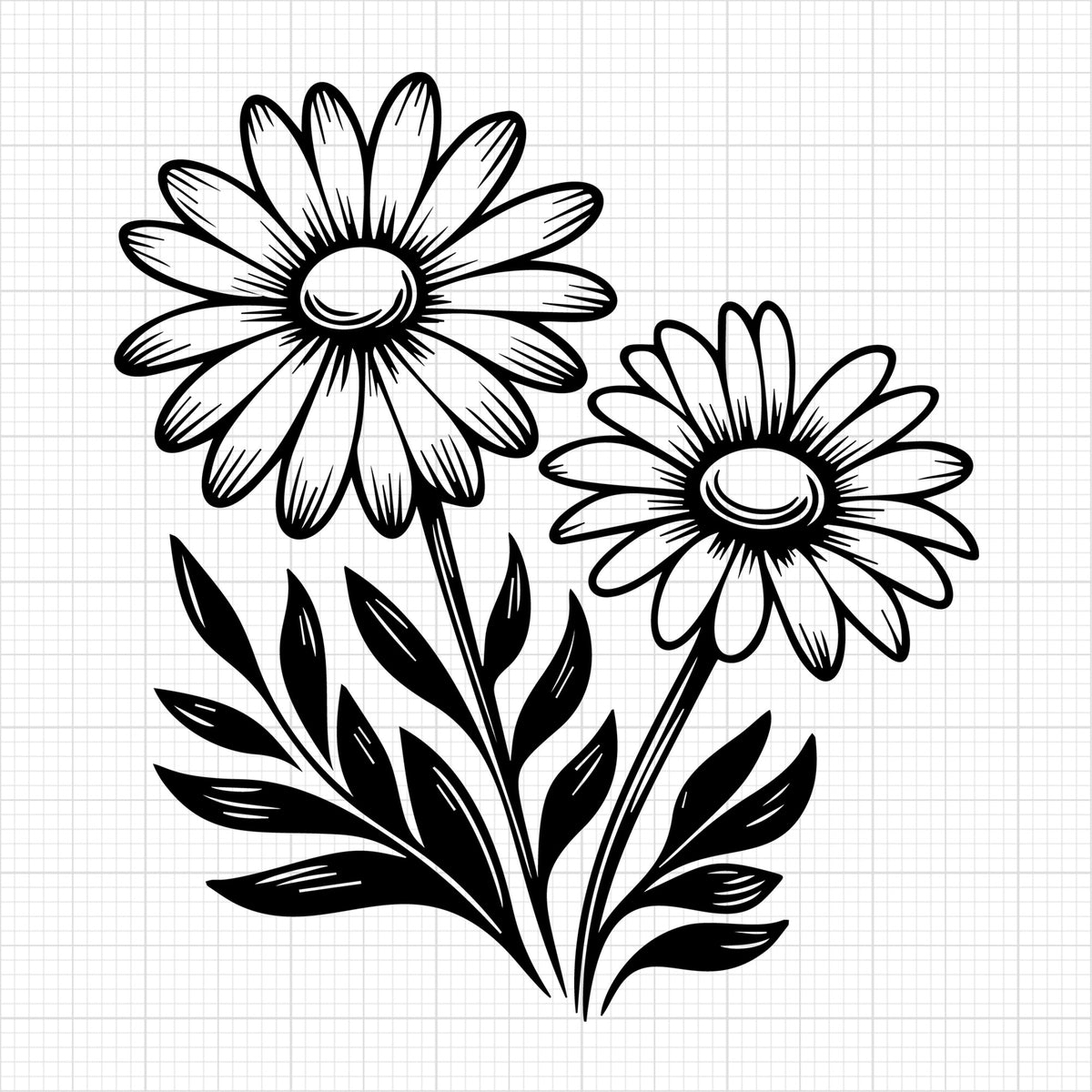 Daisy 32