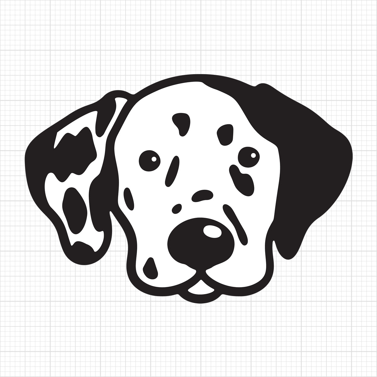 Dalmatian