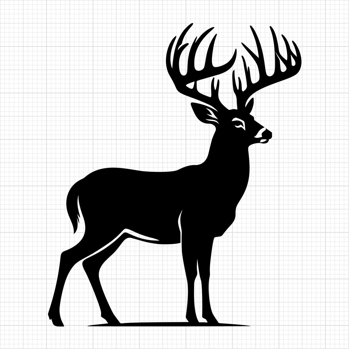 Deer 13