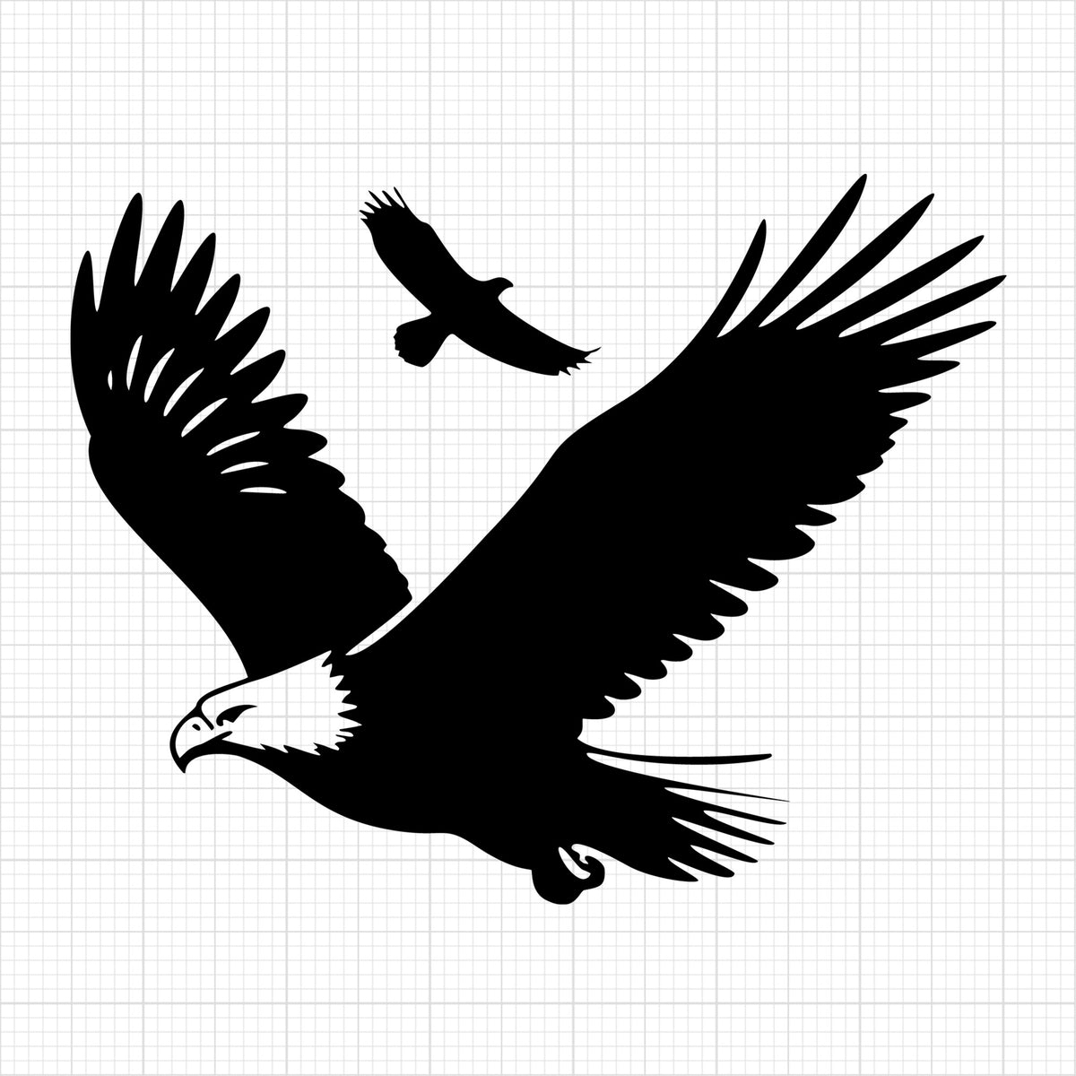 Eagles Flying