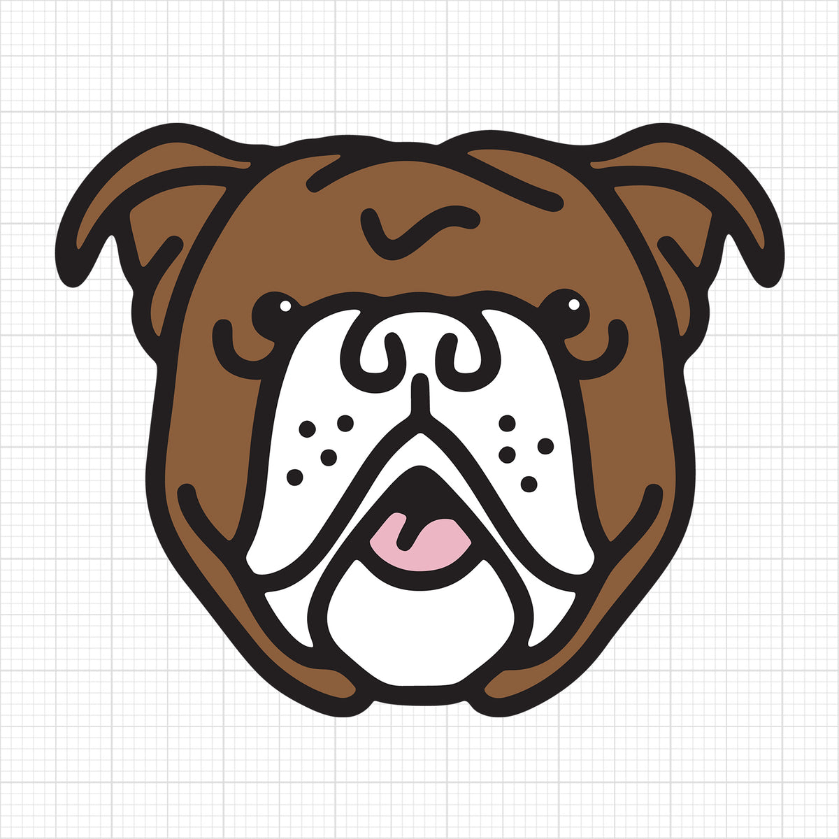 English Bulldog
