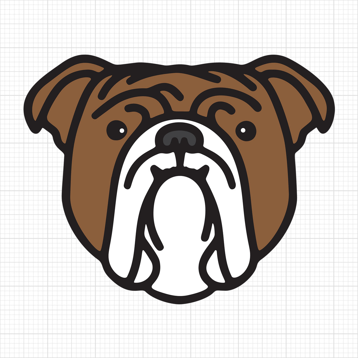 English Bulldog