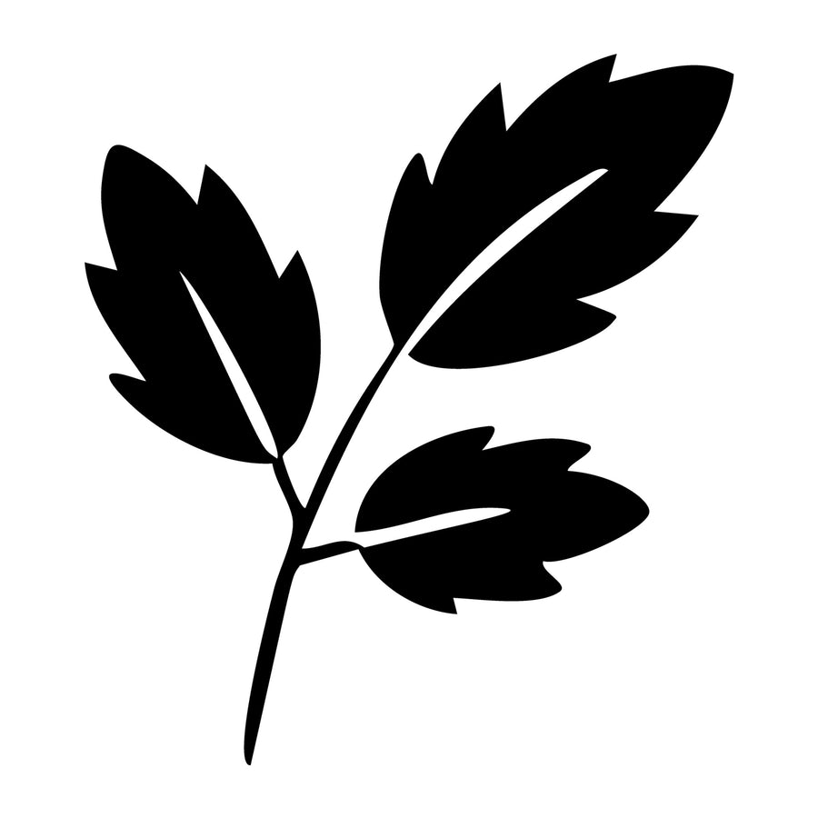 Fall SVG