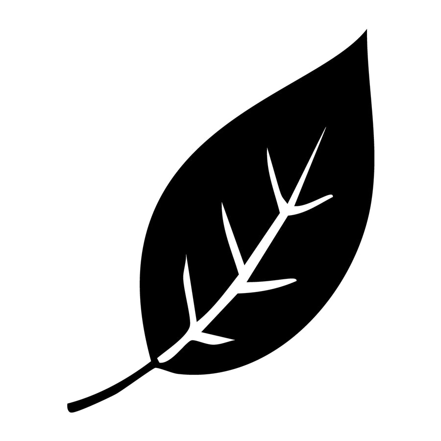 Fall SVG