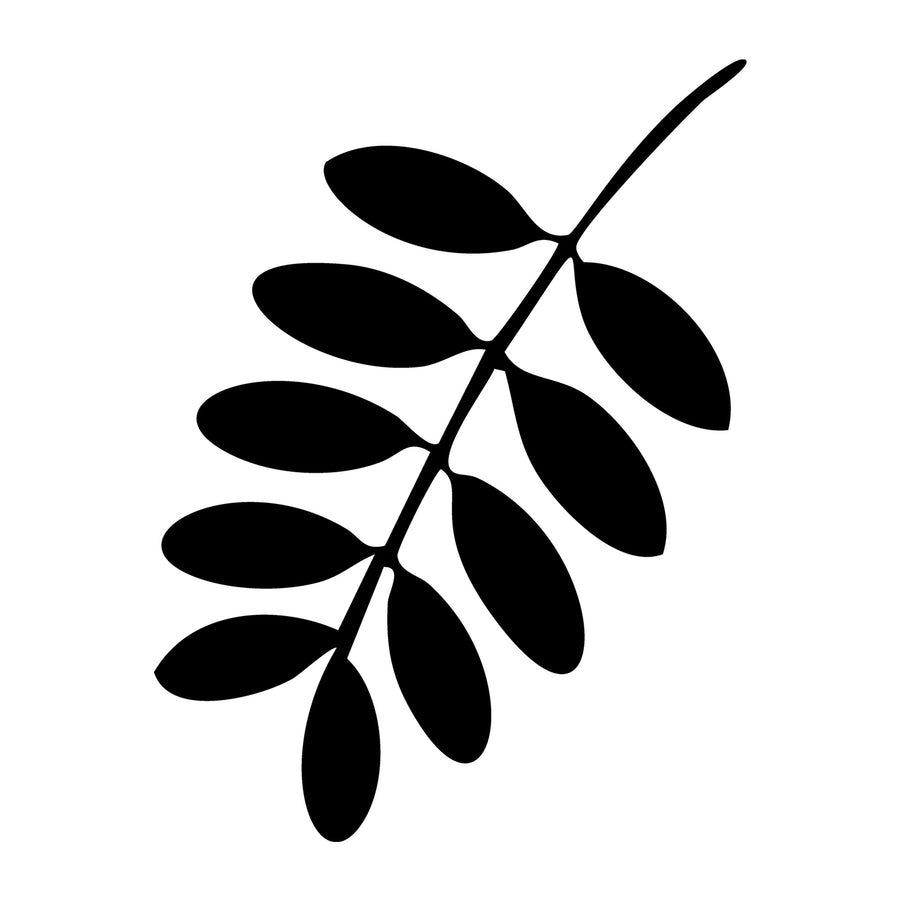 Fall SVG