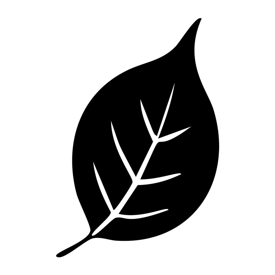 Fall SVG