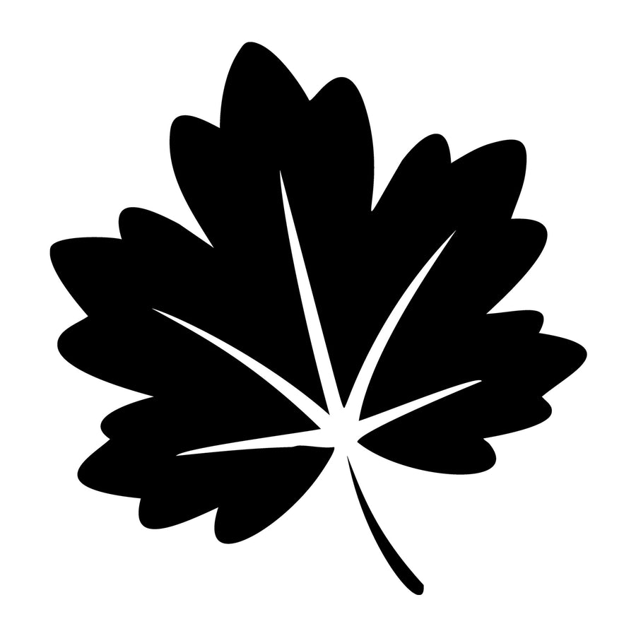 Fall Leaf SVG