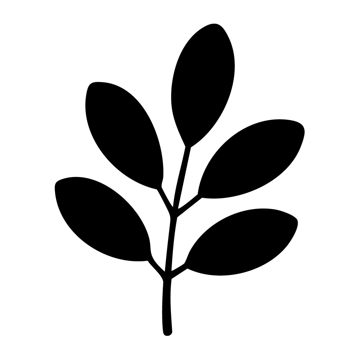 Fall Leaf SVG