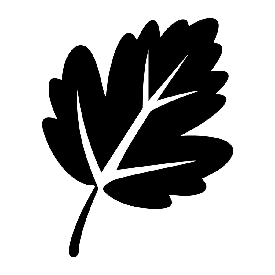 Fall Leaf SVG