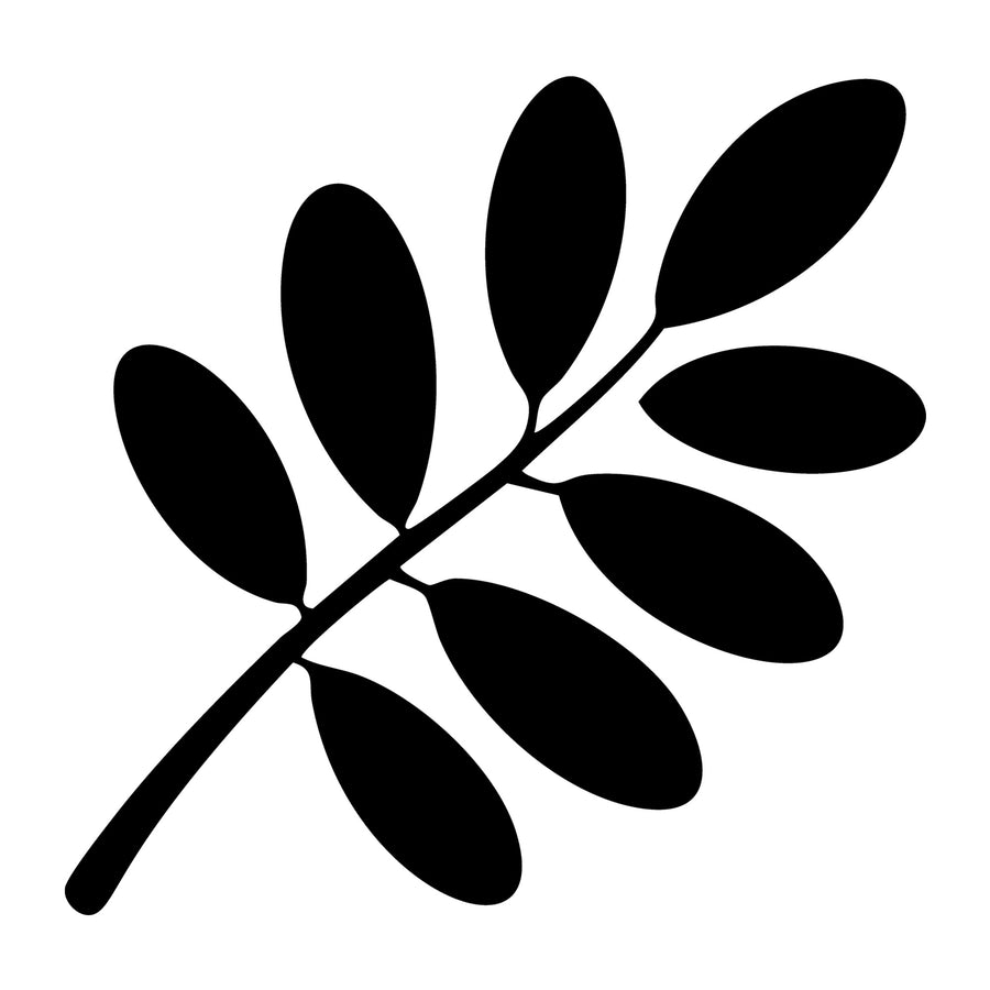 Fall Leaf SVG