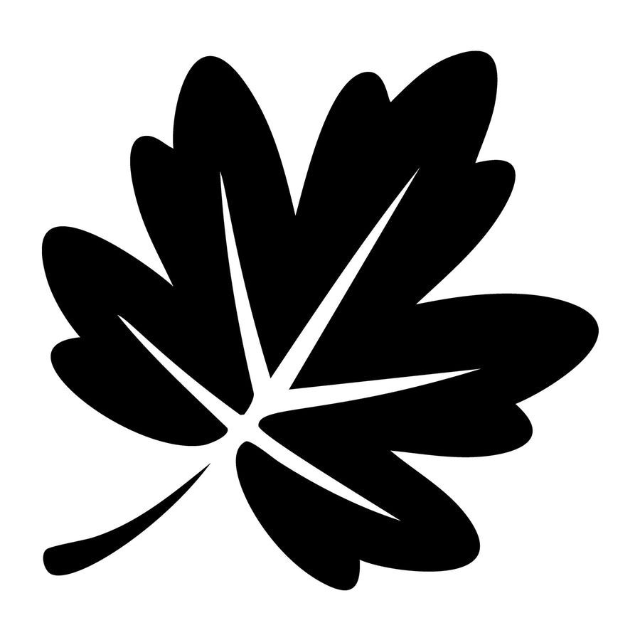 Fall Leaf SVG